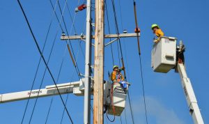 wynajem podnośnika koszowego