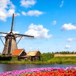 Busy z Polski do Nijmegen w Holandii